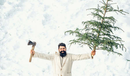 Christmas tree cut. Hipster woodsman with Christmas tree. Winter portrait of lumber in snow Garden...