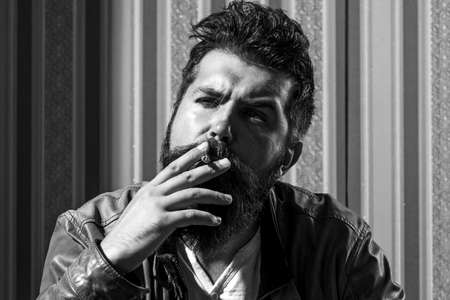 Man drinks brandy or whiskey. Bearded man wearing suit and drinking whiskey brandy or cognac....