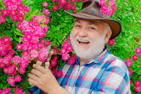 Senior gardener. Portrait of grandfather while working in flowers garden. Grandfather. Portrait of handsome old bearded man on spring background.の写真素材