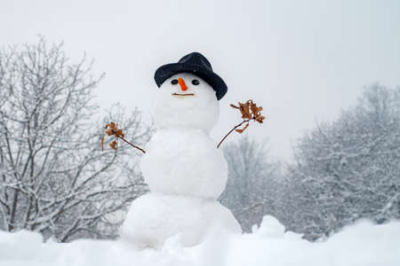 New year Christmas concept. Snowman outdoor. Happy smiling snow man on sunny winter day. Cute little snowman outdoor. Winter background with snowflakes and snowmanの写真素材