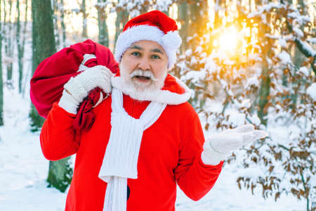 Merry Christmas and Happy new year. The morning before Christmas. Father Christmas brings gifts to children. New year Christmas concept.の写真素材