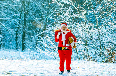 Santa Claus pulling huge bag of gifts on white nature background. Delivery christmas gifts. Winter Christmas greeting card. Santa Claus with big bag.の写真素材
