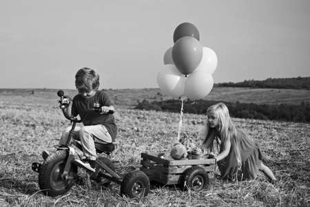 Two Kids having fun in field against blue sky background. Eco resort activities. Children farmer concept. Two little children on countryside farm.の写真素材