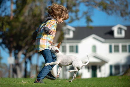 Funny photo of happy child playing with puppy dog.の写真素材