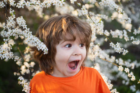 Excited kid in blooming tree in spring park. Happy boy outdoor. Blossom garden.