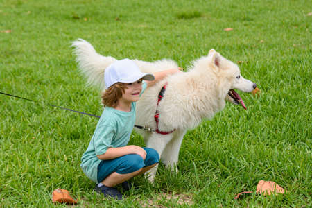 Little boyhugging white fluffy samoyed dog and laughing in the park or spirng grass background.