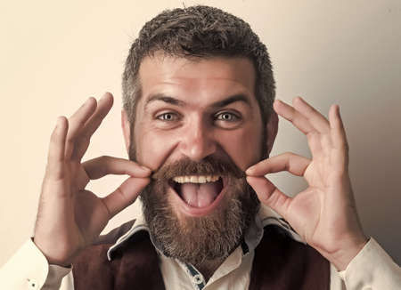 Hipster man with long beard and mustache on happy face. Fashion male model. Guy or bearded...
