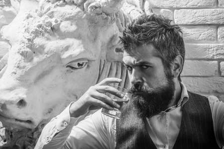 Bearded man drink whiskey. Degustation and tasting brandy. Bearded guy in elegant suit with glass of...