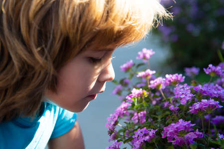 Spring or summer kid sniffs blooming branch. Cute child boy in blossom bloom garden.の写真素材