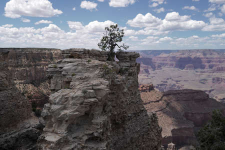 USA traveling trip. Grand Canyon National Park. Panorama Arizonaの写真素材