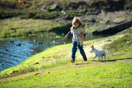 Child and Funny Dog run on the Green Park. Little Boy Racing the Puppy.の写真素材