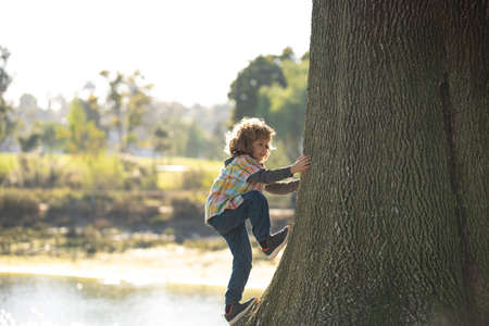 Kid boy playing climbing on tree outdoor on autumn day. Child learning to climb, having fun in park on warm sunny dayの写真素材
