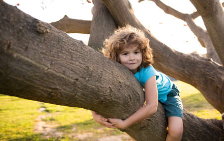 Child climbing a tree. Cute caucasian kid boy happily lying in a tree hugging a big branch.の写真素材