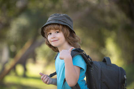 Child with backpack hiking in scenic mountains. Boy local tourist goes on a local hike.