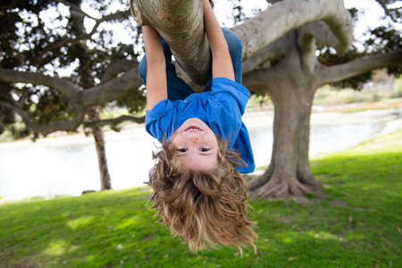 Little kid boy on a tree branch. Climbing and hanging child. Portrait of a beautiful kid in park...