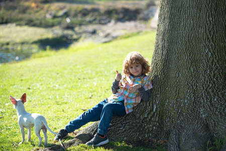 Funny child with dog walking at spring lawn in the park outdoor. Kids insurance. Pretty little cute child baby boy, play and have fun on green grass lawn in park. Family, parenthood, childhood conceptの写真素材