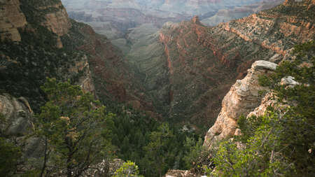 USA. Grand Canyon National Park. Arizona. Traveling vacation.の写真素材