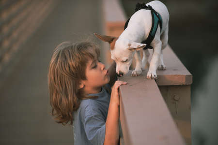 Cute child with puppy. Little boy kisses the dog. Friendship, care pets, happiness childhood concept.の写真素材