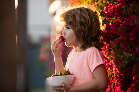 Adorable kid eating strawberry. Healthy kids food.の写真素材