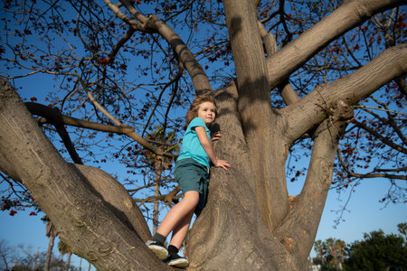 Happy little kid enjoying summer day in a garden. Cute child climbing the tree. Kids playing outdoor.の写真素材