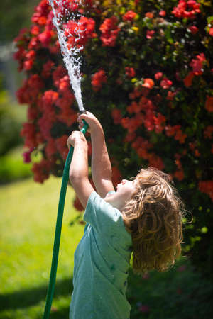 Child boy watering the plants, from hose spray with water hose in the garden at the backyard of the...