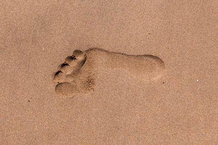 Closeup footprints on the tropical sand beach.の写真素材