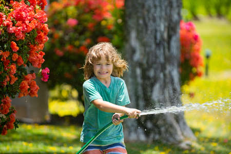 Child boy watering the plants, from hose spray with water hose in the garden at the backyard of the house on a summer evening.の写真素材