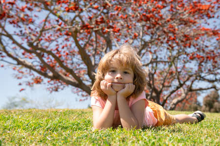 Caucasian child portrait. Kids laying on grass in warm autumn park, fall leaves. nature park.の写真素材