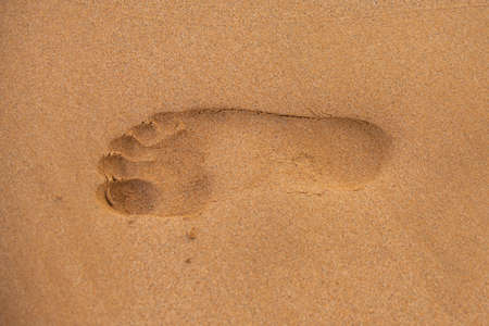 Background close up footprints of human feet on the sand on the sandy.の写真素材