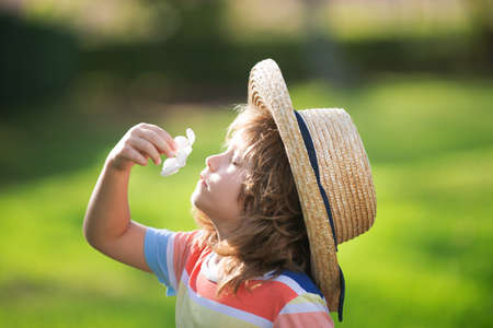 Close up portrait of a cute little child in straw hat smelling plumeria flower. Childhood and parenting concept. Summer holiday.の写真素材