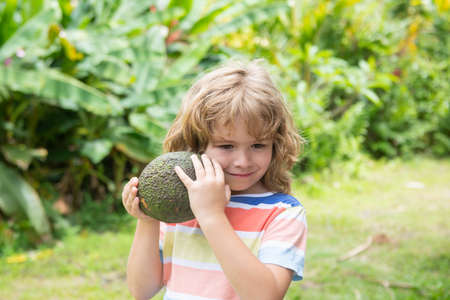 Kid eating and enjoying an avocado on a nature background. Healthy food for kids concept.の写真素材