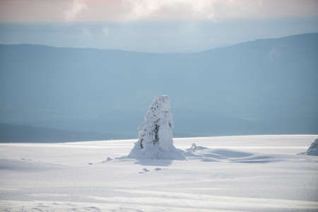 Winter landscape. Snow on tree. Winter snowy mountains. Snowstorm in forest.の写真素材