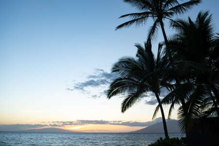 Tropical sea beach with sand, ocean, palm leaves, palm trees and blue sky. Summer beach background.の写真素材
