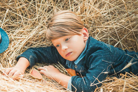 Kid boy lies on the hay. Cute little child boy holding gold leaf on farm village background. Little boy playing with leaves and looking at camera. Good time in the village. Harvest concept.の写真素材