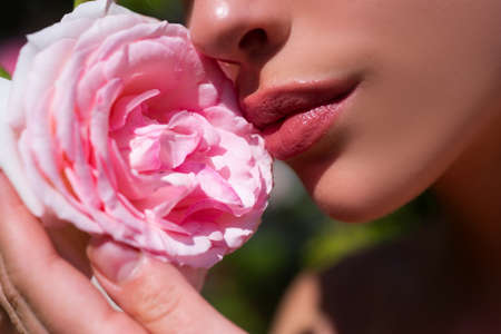Beautiful female mouth. Plump full lips. Beautiful woman lips with rose.の写真素材