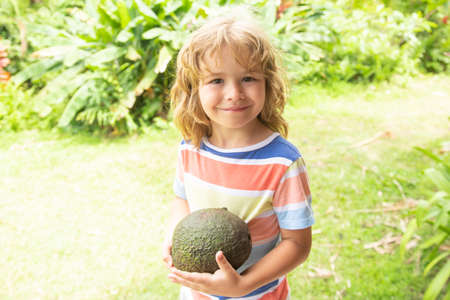 Happy child showing avocado on summer garden. Kids healthy food.