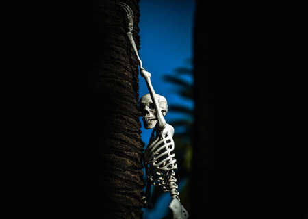 Halloween Skeleton. Halloween scenery. Terrible holiday at home. Traditions and Skeleton house decor.の写真素材