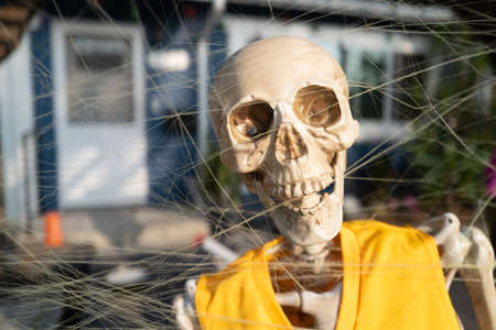 Happy Halloween Skeleton. Portrait of Skeleton outdoor.の写真素材