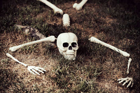 Helloween house decor, skull rising out from the ground.の写真素材