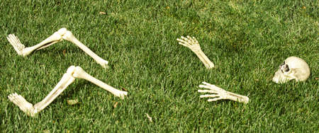 Halloween theme. Pattern with skeleton for Halloween banner, misty background with copy space.の写真素材