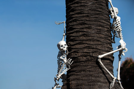 Halloween theme. Pattern with skeleton for Halloween banner.の写真素材