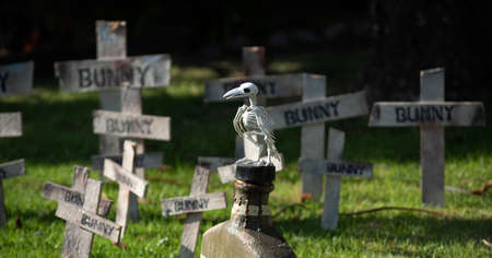 Halloween cemetery with raven skeleton. Banner design with copy space.