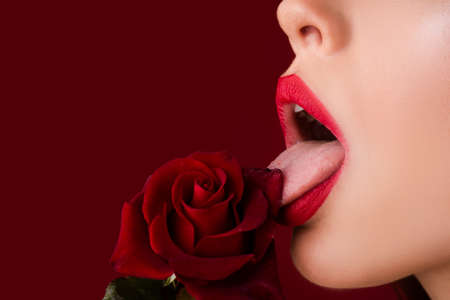 Woman with red rose, macro, on red background. Lips with lipstick closeup. Beautiful woman lips with rose. Girl blowjob with tongue, oral sex, symbol.の写真素材