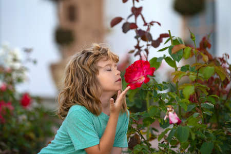 Kids funny face, boy with flowers. Child smelling rose in yard.の写真素材
