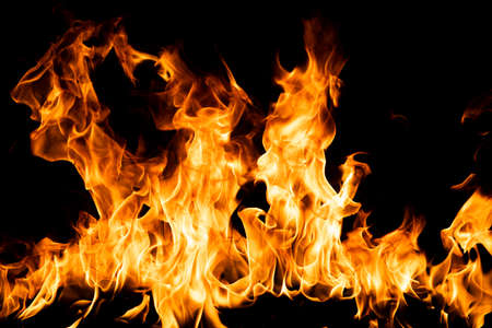 Fire flame. Burn lights on a black background.の写真素材