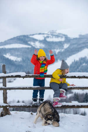 Little girl and boy with husky dog enjoying a day out playing in the winter forest. Children siblings having fun in beautiful winter park.の写真素材