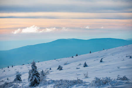 Winter Christmas landscape with snow. New Year wallpaper. Winter Christmas landscape with snow. New Year wallpaper.の写真素材