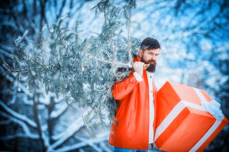 Man is happy about the new year. Hipster Santa Claus. Christmas Man on white snow background.の写真素材