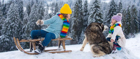 Kids boy and little girl with husky dog enjoying a sleigh ride. Children sibling together sledding, play outdoors in snow on mountains in winter. Kids brother and sister on Christmas vacation.の写真素材