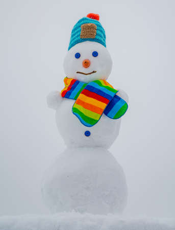 Snow man in winter. Christmas snowman. New year element. Winter clothes, knitted hat and scarf.の写真素材